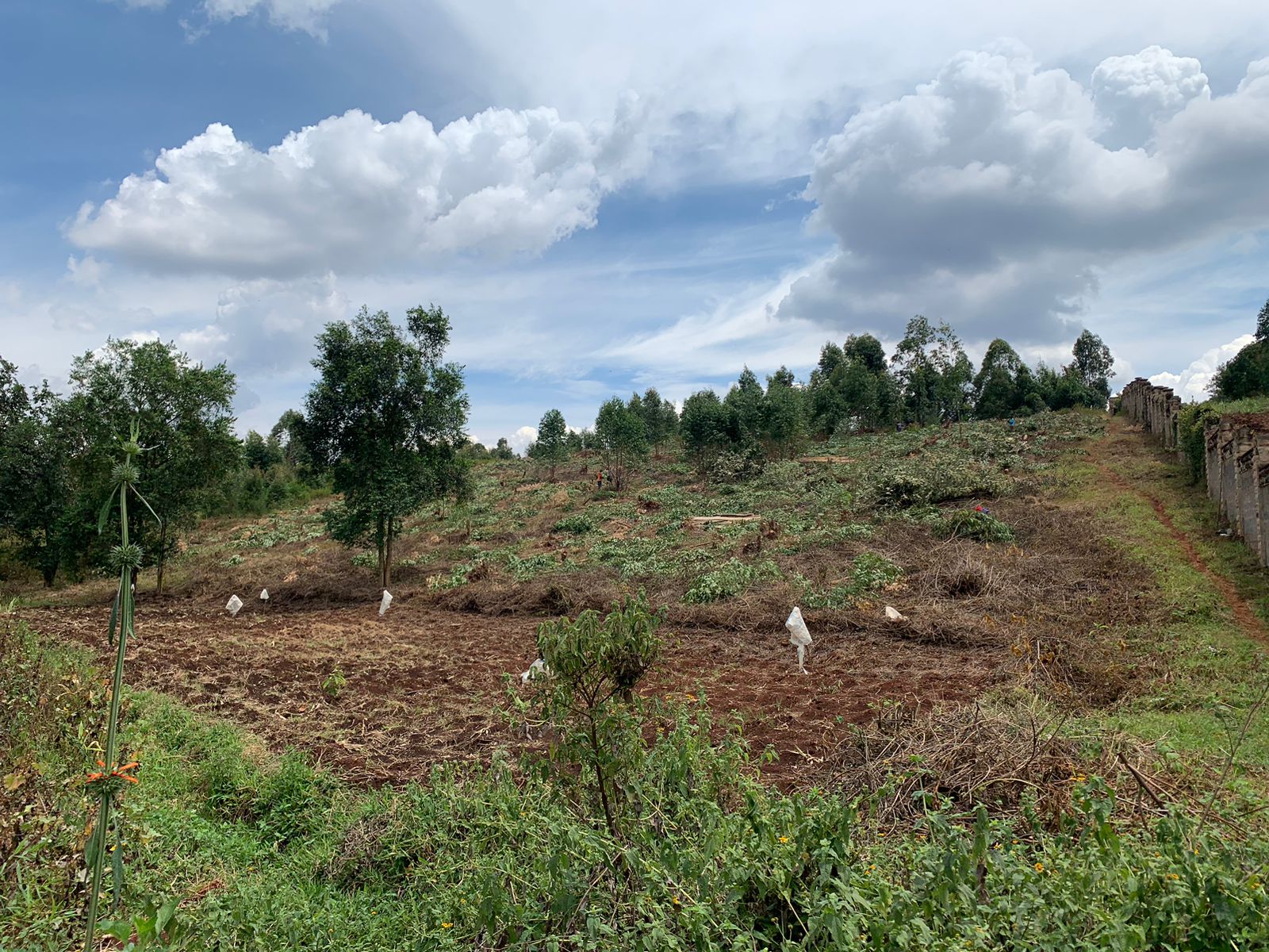 El Olam Residency Progress (1)